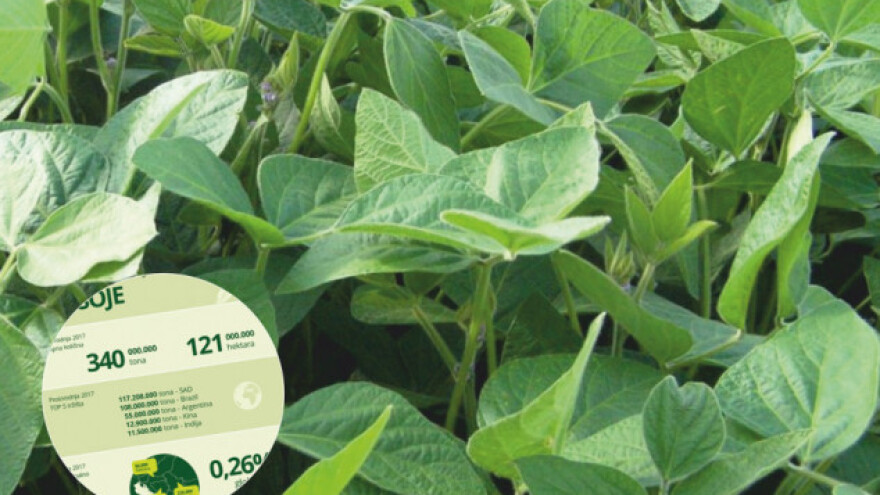 Tržište soje nezadrživo raste!