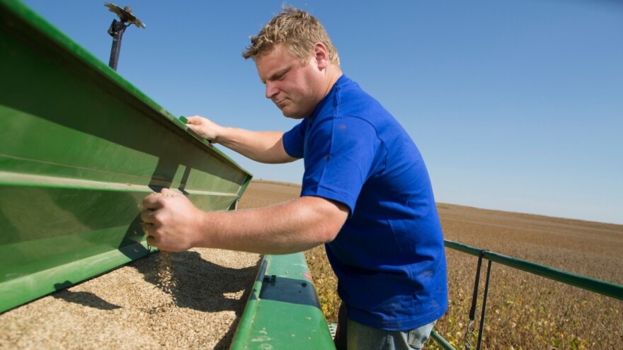 Pad cene soje na Produktnoj berzi - 42 dinara?