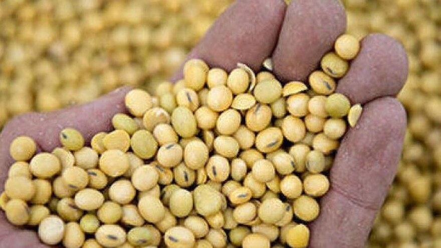 Stroga kontrola proizvodnje soje