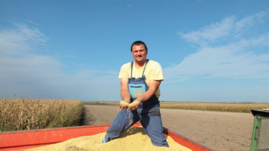 Svjetske zalihe soje dostižu povijesni maksimum?