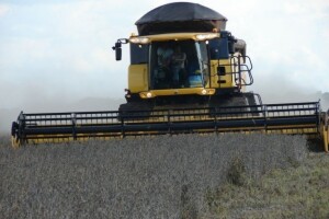 Većina zastupnika protiv GMO sjemena soje