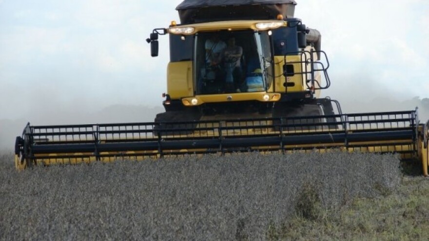 Većina zastupnika protiv GMO sjemena soje