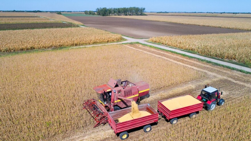 Kina i Brazil ugrožavaju evropsku opskrbu proteinima?