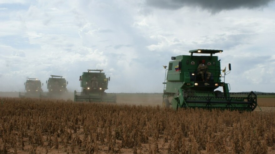 Cijene soje niže unatoč manjoj proizvodnji