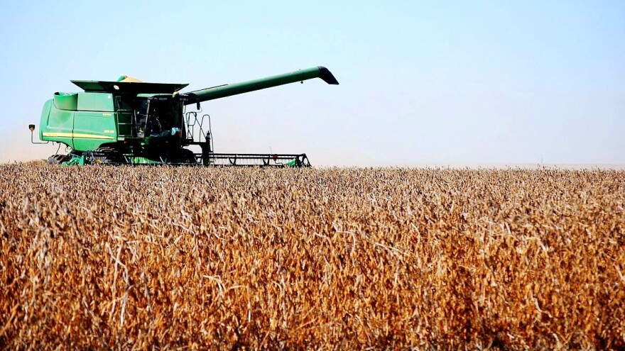 Kroz "efikasni hektar" planiraju duplirati proizvodnju uljarica do 2024.