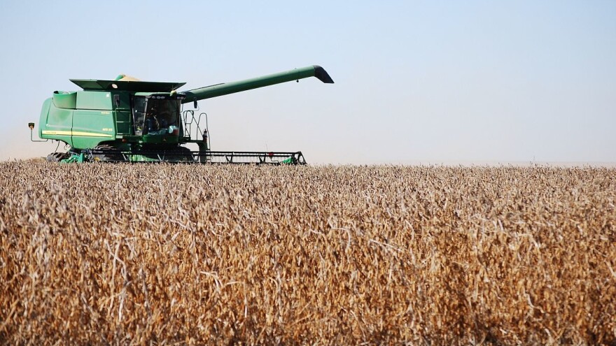 Kroz "efikasni hektar" planiraju duplirati proizvodnju uljarica do 2024.