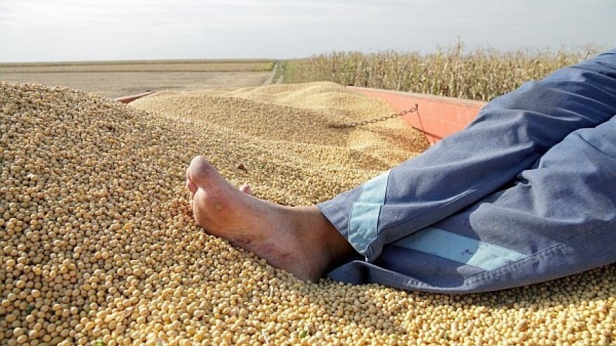 Soja - najprofitabilnija ratarska kultura RH?