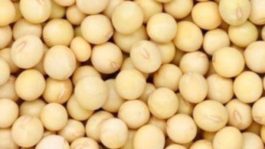 Jakovina želi potaknuti proizvodnju soje