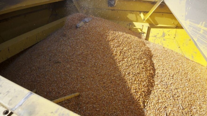 El Nino - kiša i profit za brazilske usjeve?