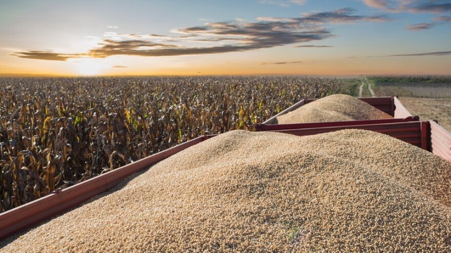 Krediti i poplave povećale cijenu soje!