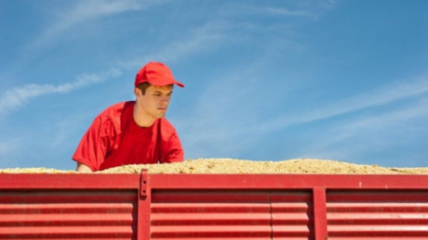 Slabija cena za soju i pšenicu!