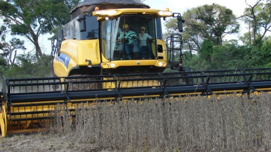 Najmanje površine pod uljanom repicom od 2011.