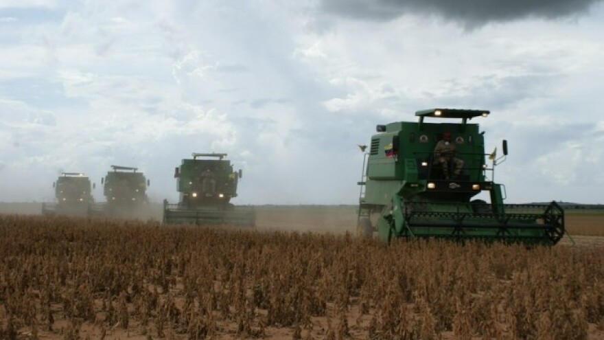 Na bjelovarskom području pronađena GMO soja!