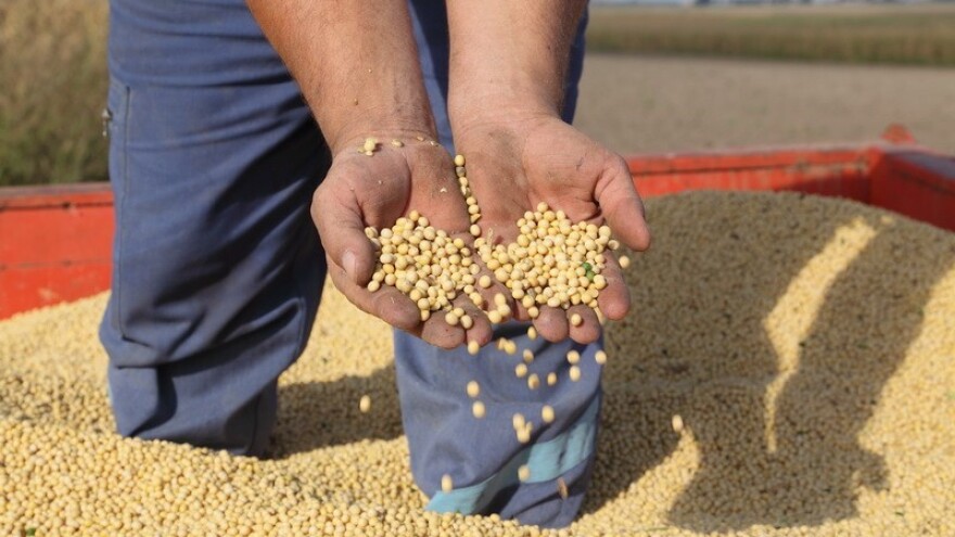 Je li GMO soja na mala vrata ušla u Hrvatsku?