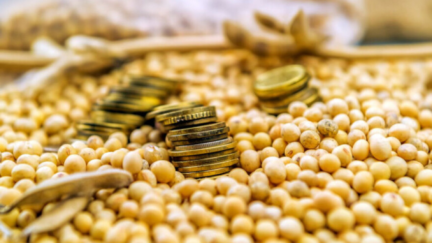 Cena pšenice nastavila rast