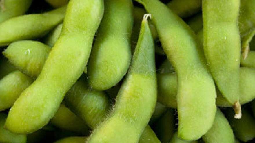 Investicijski dragulj na jugu Argentine