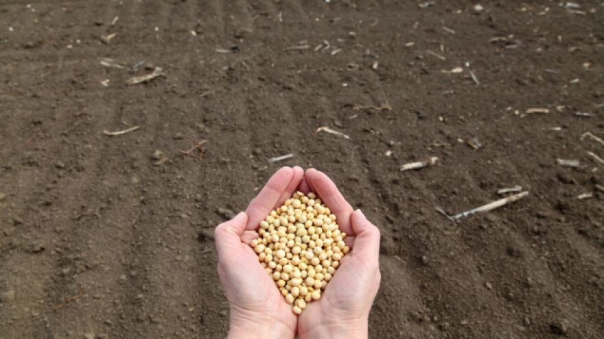 Pripremite zemljište za soju