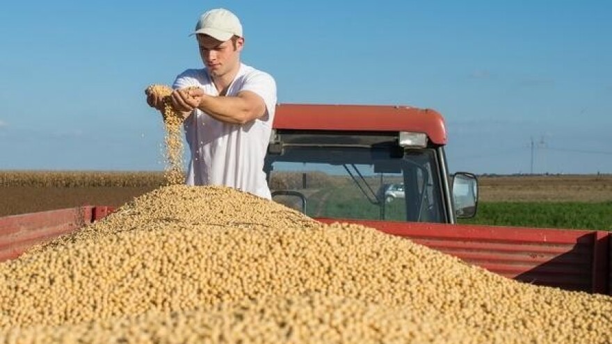 Gomilanje zaliha soje prouzročilo pad cijena!