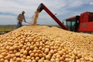 Slavonci i Baranjci proizvodit će ekološku soju za zemlje EU