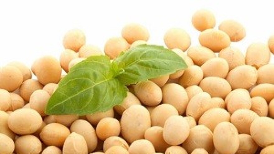 Pravilna gnojidba povećava prinose za 50 posto