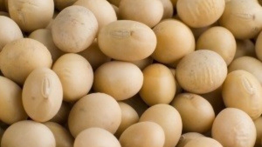 Sam organizirao izvoz eko soje u Njemačku