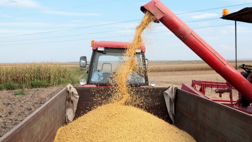 Prijaviti svaku osnovanu sumnju na GMO uzgoj!