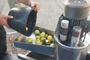 Sok od krušaka je najljepši kada ga sami pripremate - kako to uraditi?