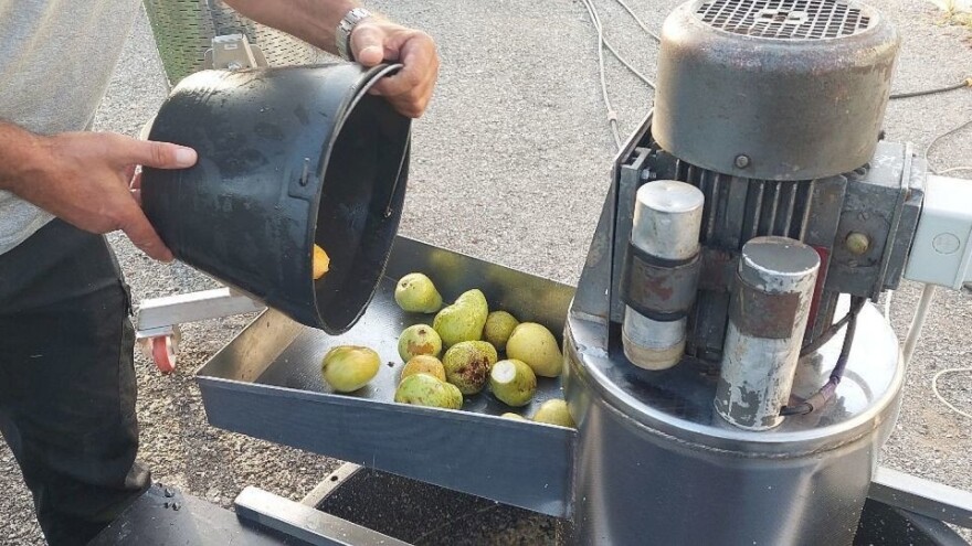 Sok od krušaka je najljepši kada ga sami pripremate - kako to uraditi?