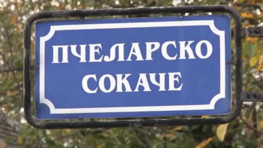 Jedino pčelarsko sokače u Srbiji