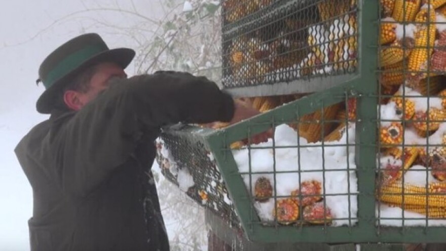 Zašto je bitna sol u lovstvu?