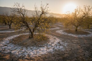 Sol polako prodire u dolinu Neretve i polja pretvara u slanu pustinju