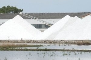 Paška morska sol zaštićena u Europskoj uniji