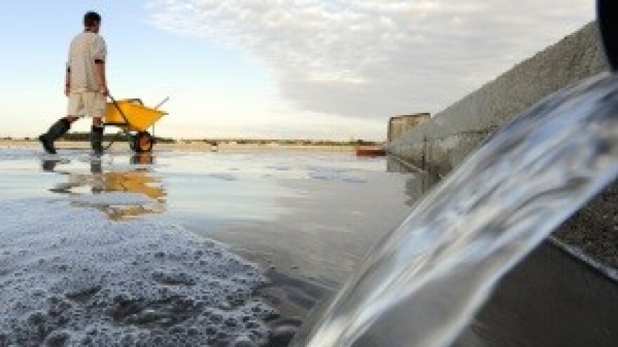 2. Festival soli u Ninu