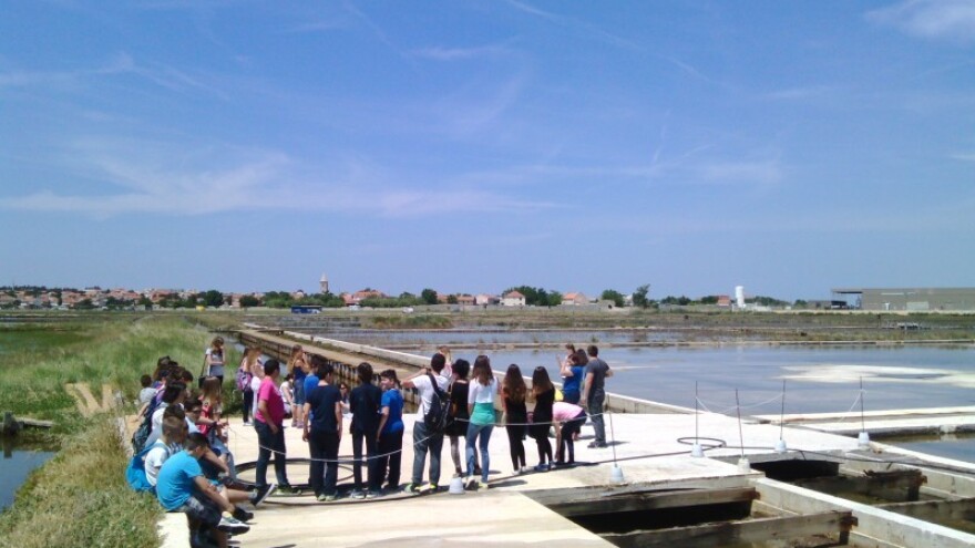 Dodana vrijednost cvijetu od soli!