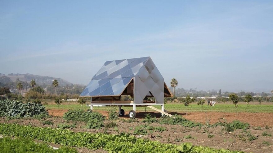 Solarne ploče u poljoprivredi? Učinkovite u uzgoju kokoši i povrća