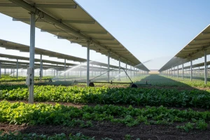 Solarna elektrana za navodnjavanje usjeva!