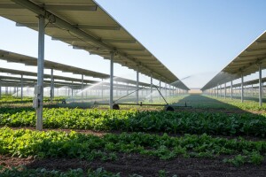 Solarna elektrana za navodnjavanje usjeva!