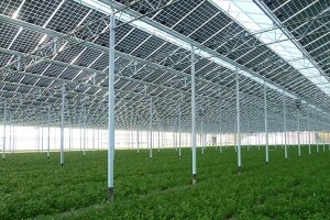 Solarna elektrana vrijedna gotovo 7 milijuna kuna