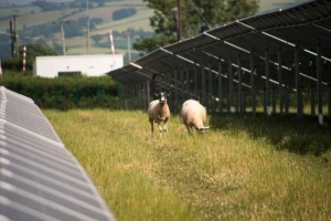 Španjolska nastavlja pohod na obnovljivu energiju