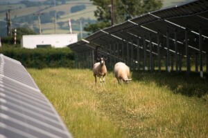 Španjolska nastavlja pohod na obnovljivu energiju
