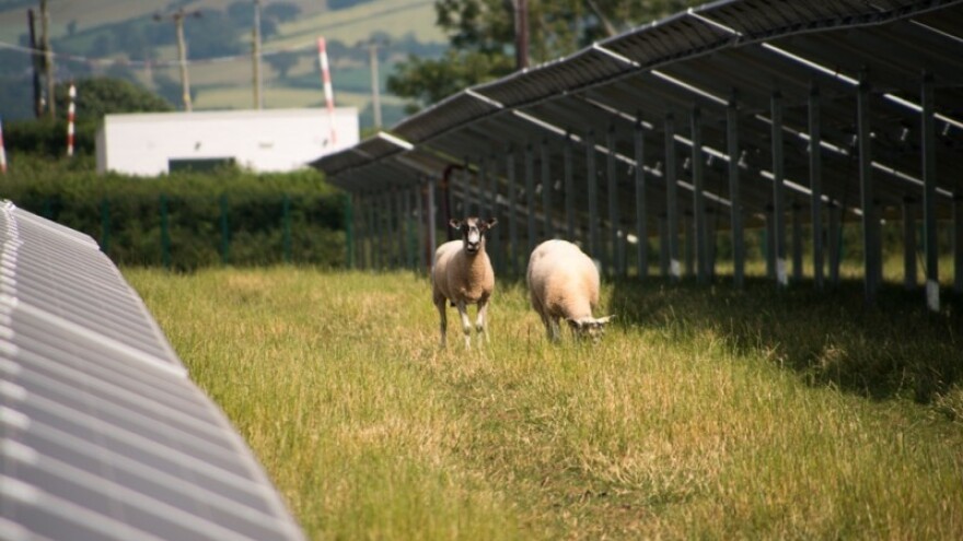 Španjolska nastavlja pohod na obnovljivu energiju