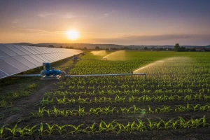 Solarni sustav navodnjavanja zaživio u Slavoniji