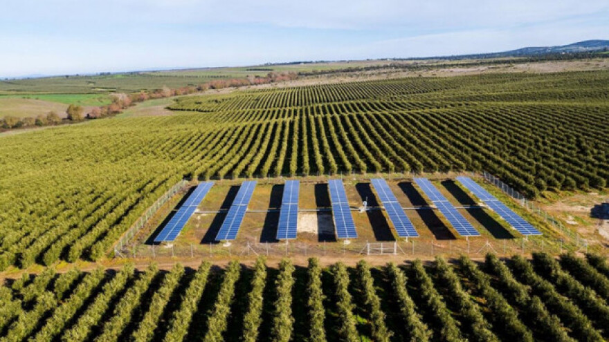 Koliko vode treba za proizvodnju koje namirnice?
