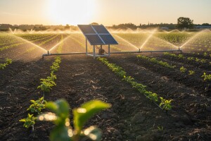 Solarno navodnjavanje provedeno u praksu
