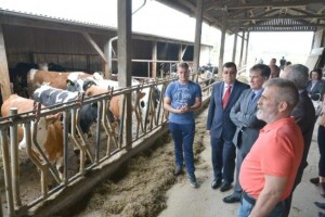 Lobi koji želi uništiti sve što je hrvatsko?