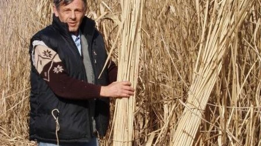 Solitarne pčele za bolje oprašivanje voćnjaka!