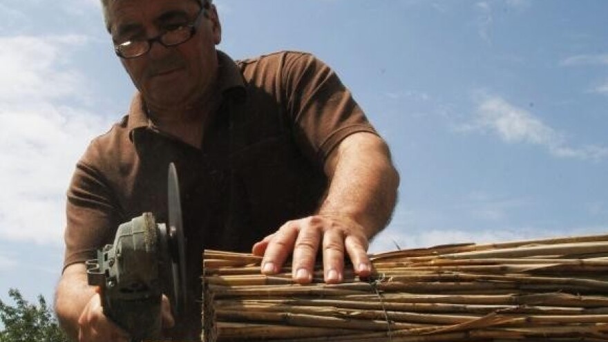 Formula uspjeha eko OPG Pelin - dva para ruku!