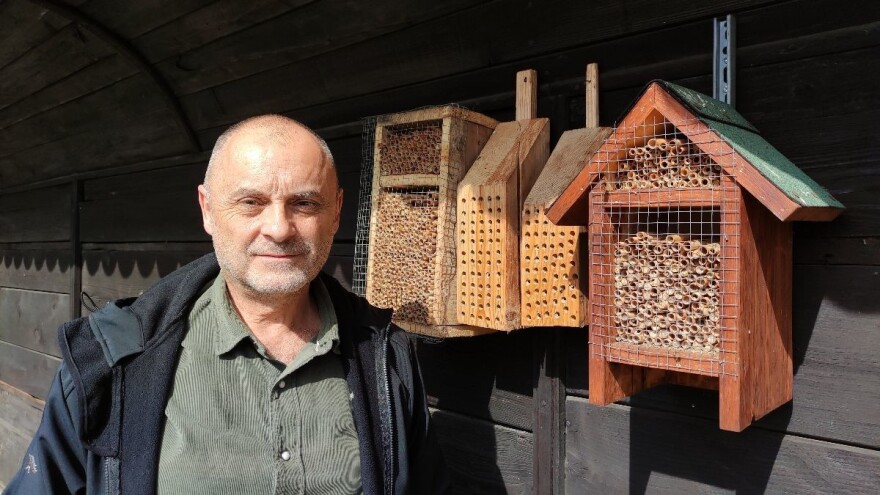 Ugrožavaju li medonosne pčele one solitarne ili je problem netko drugi?