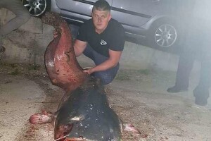 Mustafa Ogrić ima novi trofej - izvukao neman tešku 77 kg