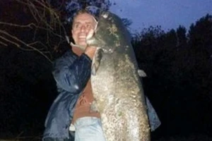 Som od 51 kilogram iz Zapadne Morave